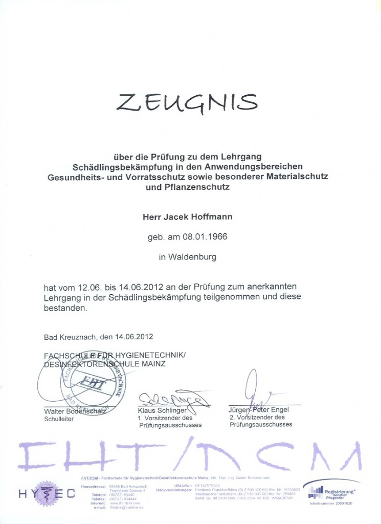 Schädlingsbekämpfung Bettwanzen, Schädlingsbekämpfung Wespen